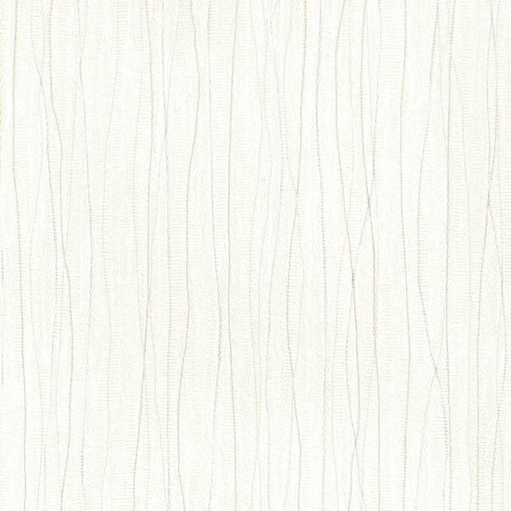 チップ画像