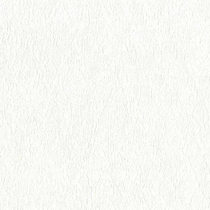 チップ画像