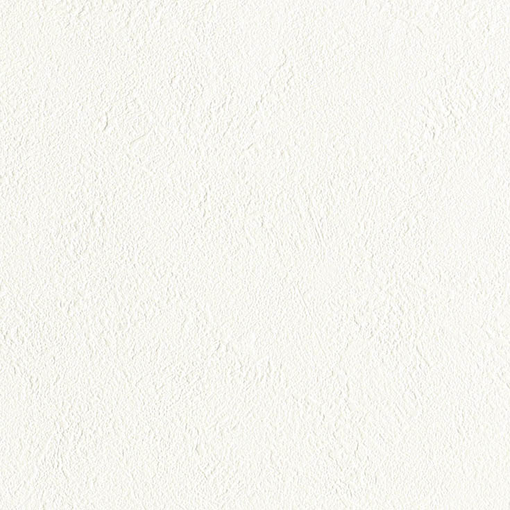 チップ画像