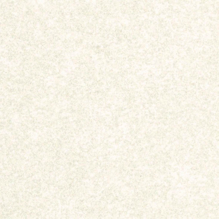 チップ画像
