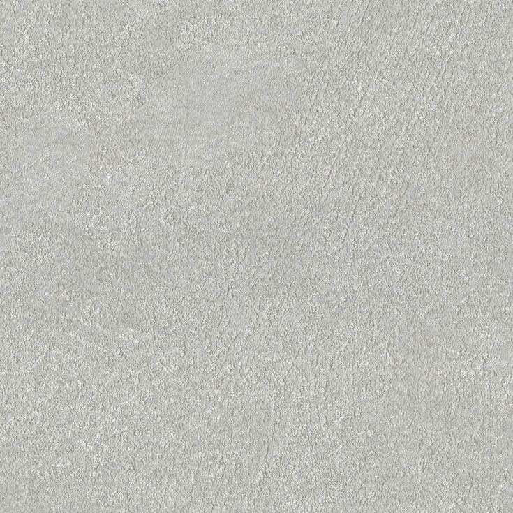 チップ画像