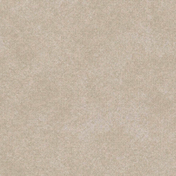 チップ画像