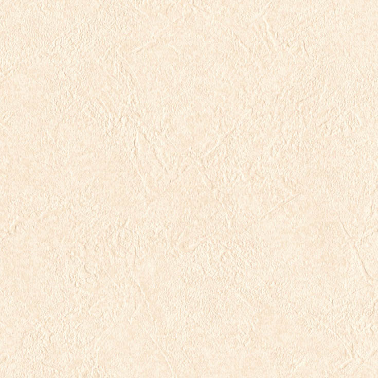 チップ画像