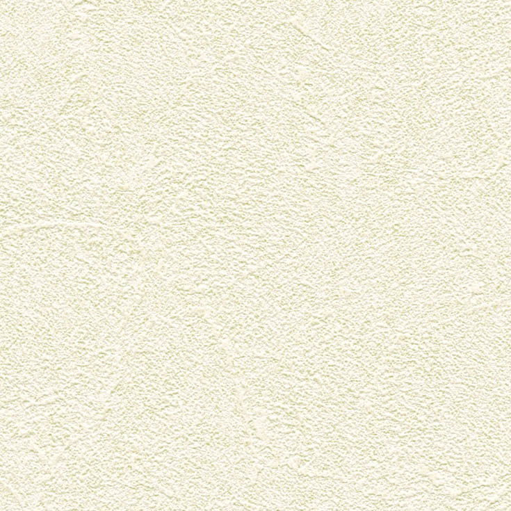 チップ画像