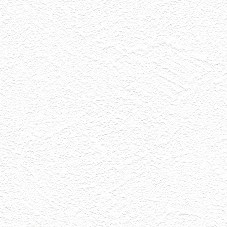 チップ画像