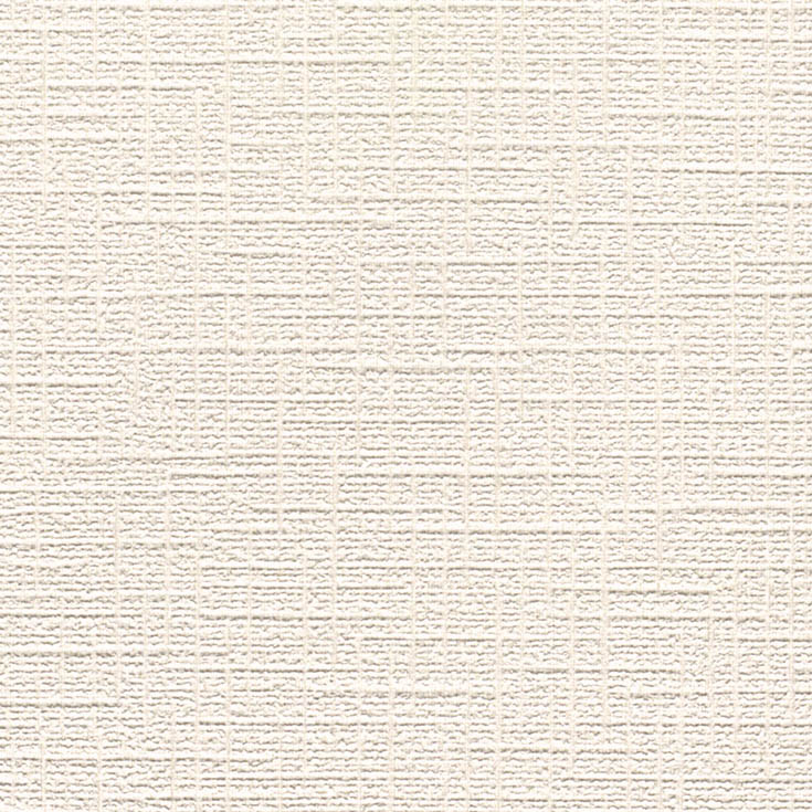チップ画像