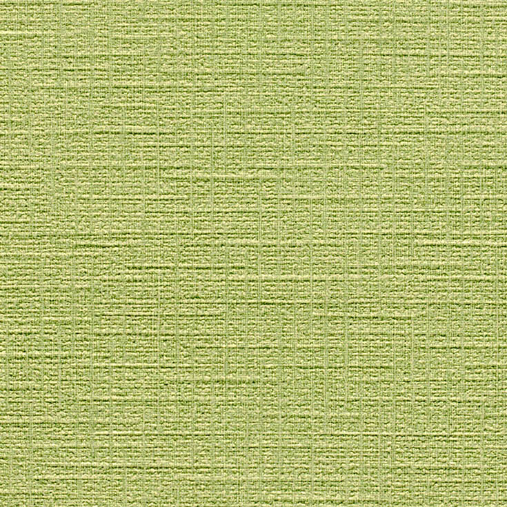 チップ画像