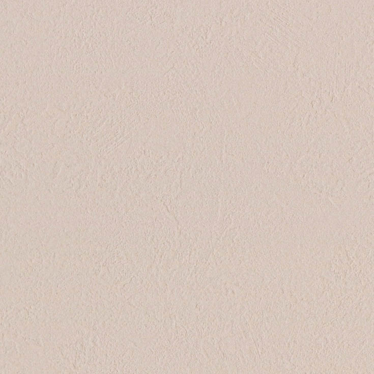 チップ画像