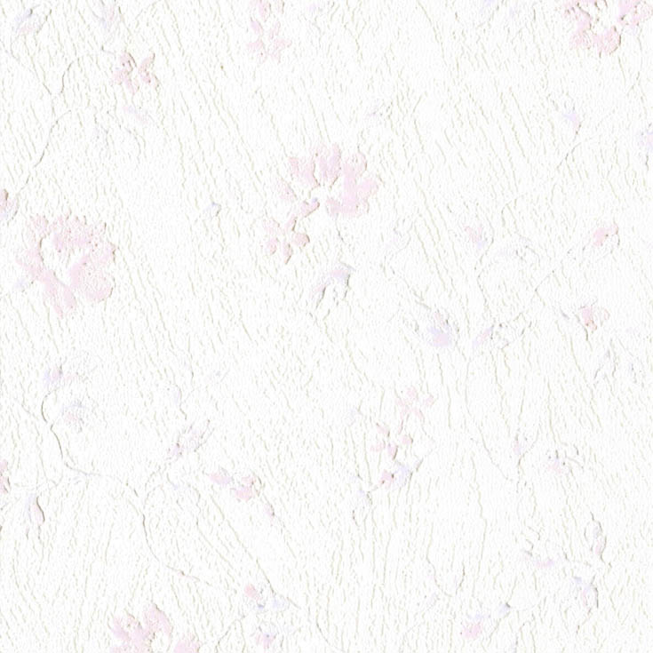 チップ画像