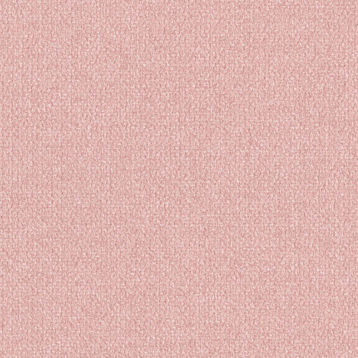 チップ画像
