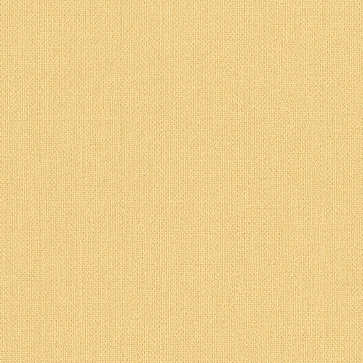 チップ画像