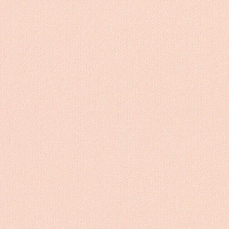 チップ画像