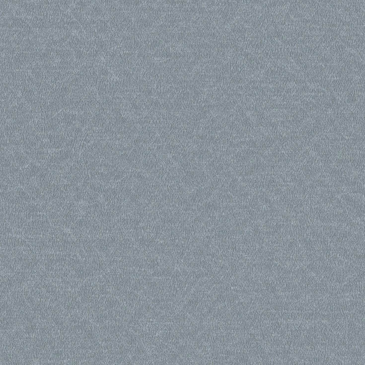 チップ画像
