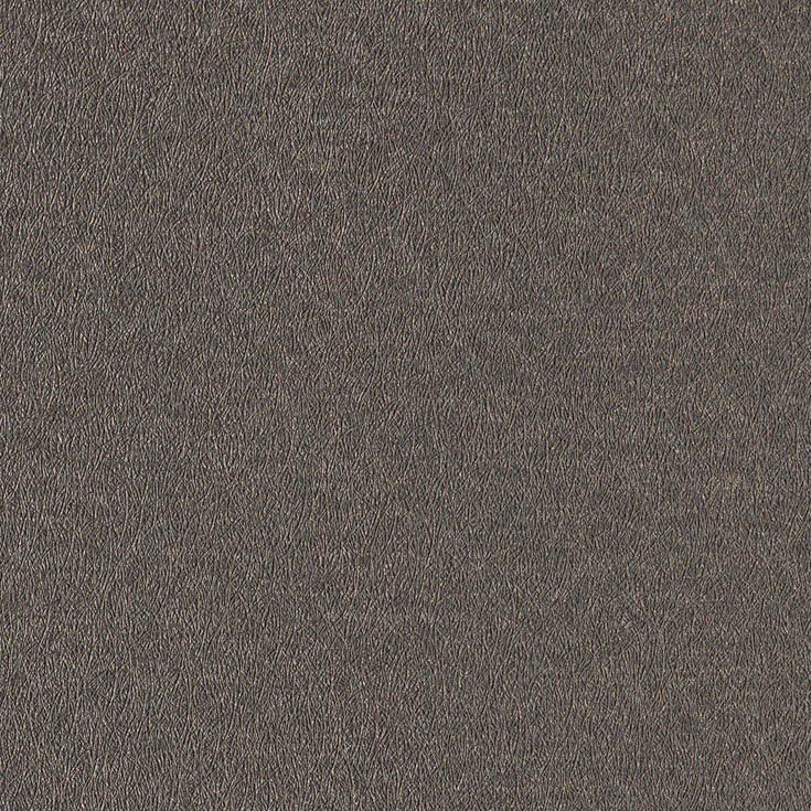 チップ画像