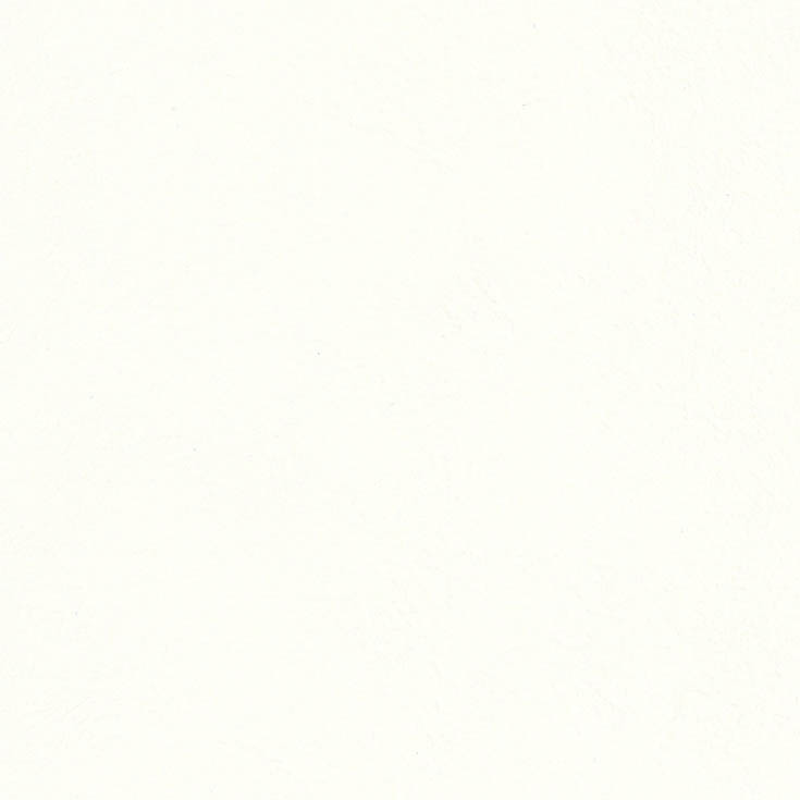 チップ画像