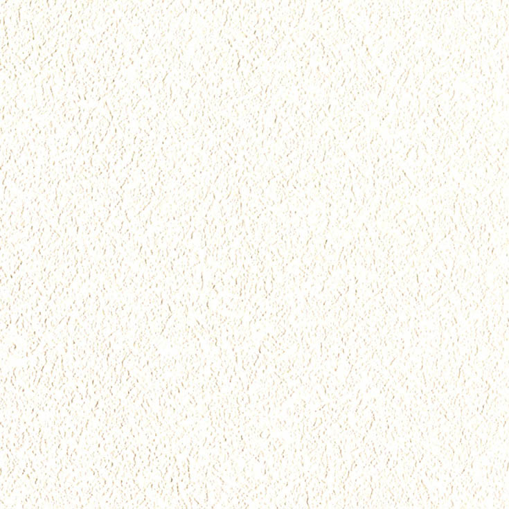 チップ画像
