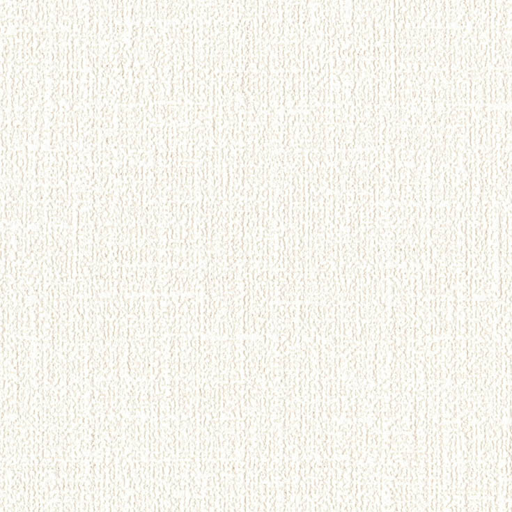 チップ画像
