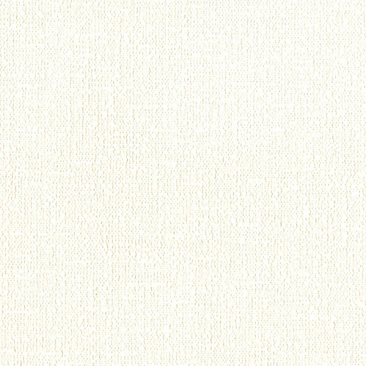 チップ画像