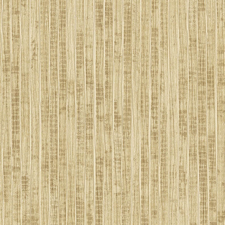 チップ画像