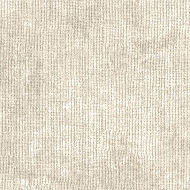チップ画像