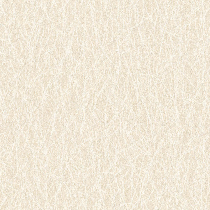 チップ画像
