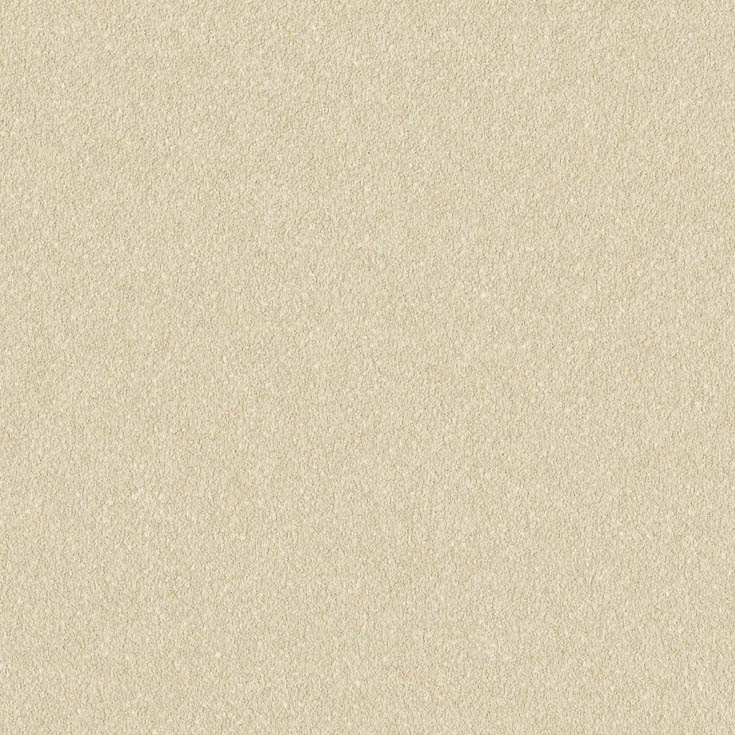 チップ画像