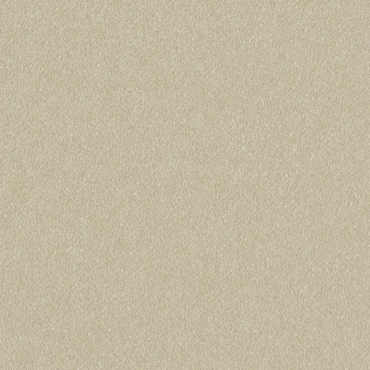 チップ画像