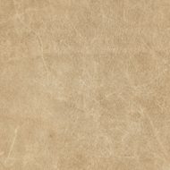 LL-6007