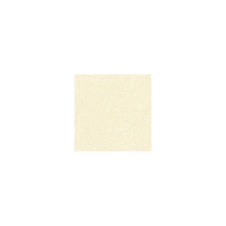 リピート画像