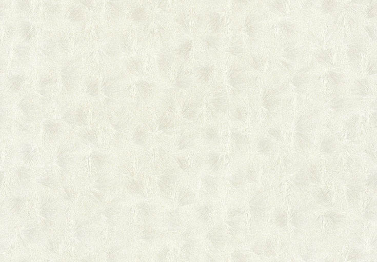 リピート画像