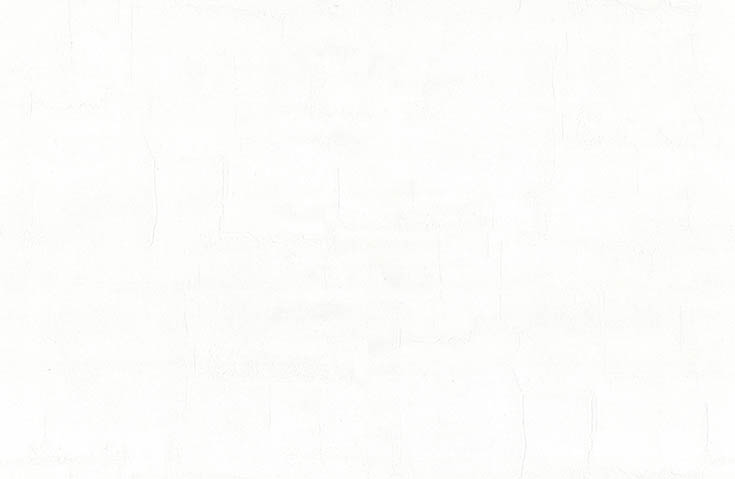 リピート画像