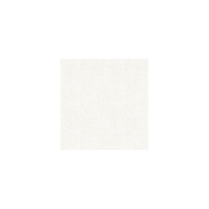 リピート画像