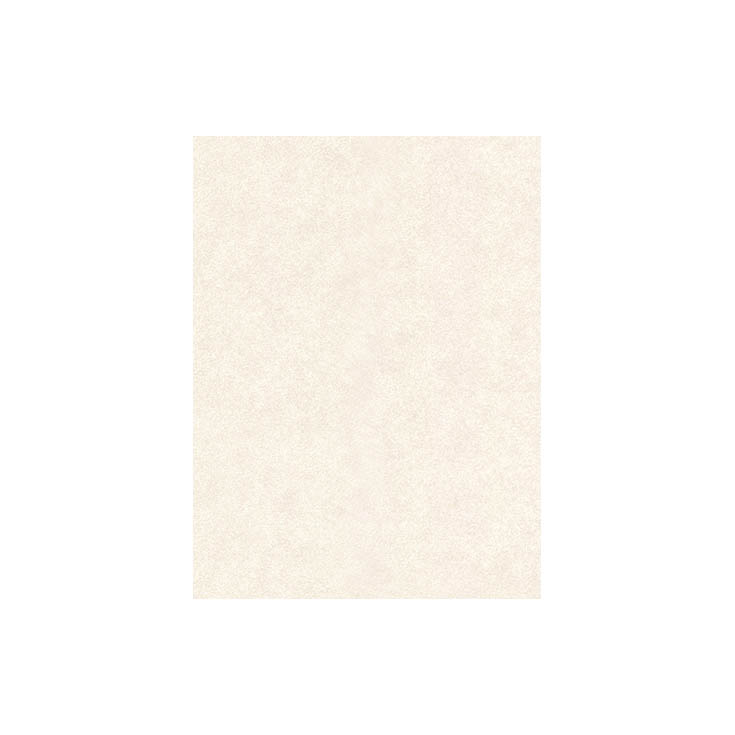 リピート画像