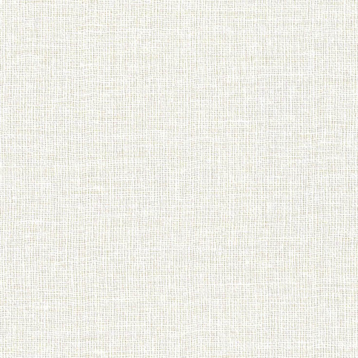 チップ画像