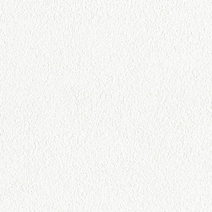 チップ画像