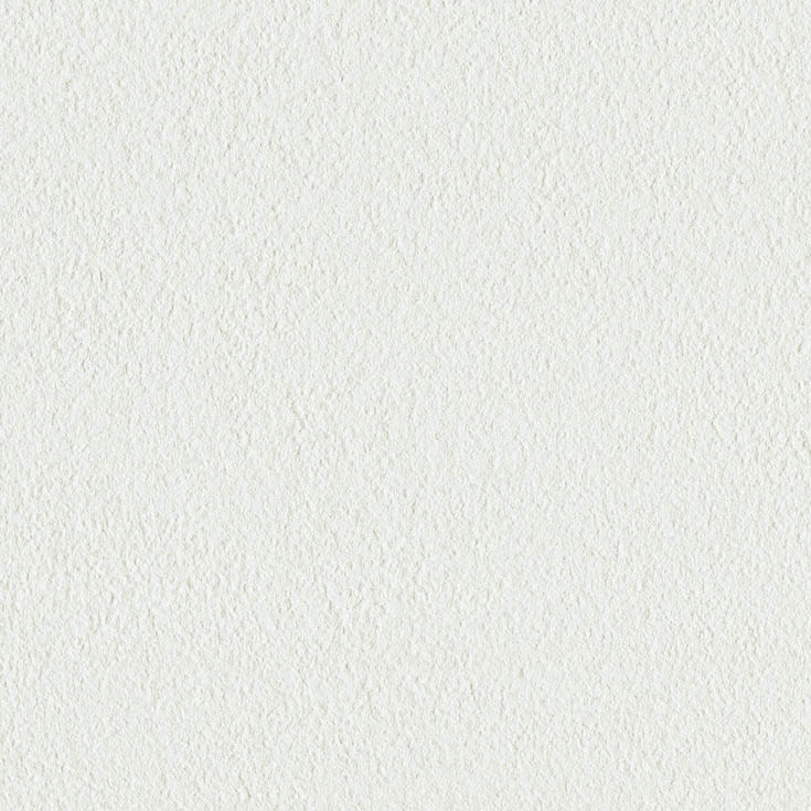 チップ画像