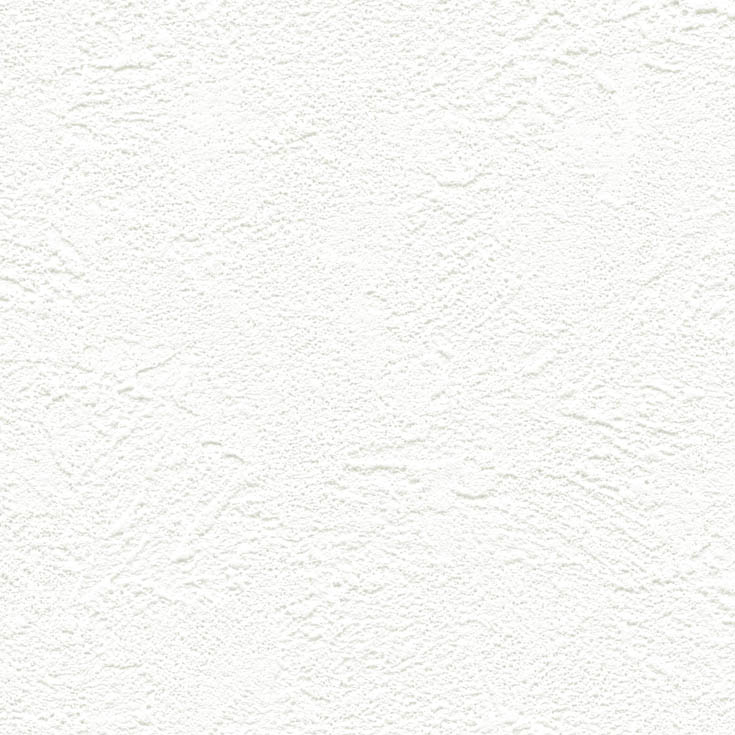 チップ画像
