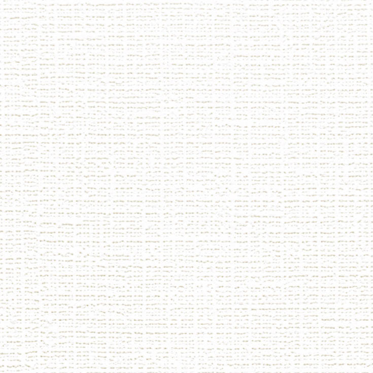 チップ画像