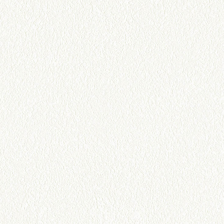 チップ画像