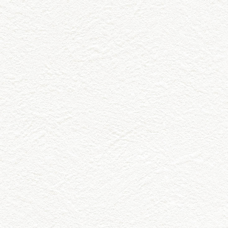 チップ画像