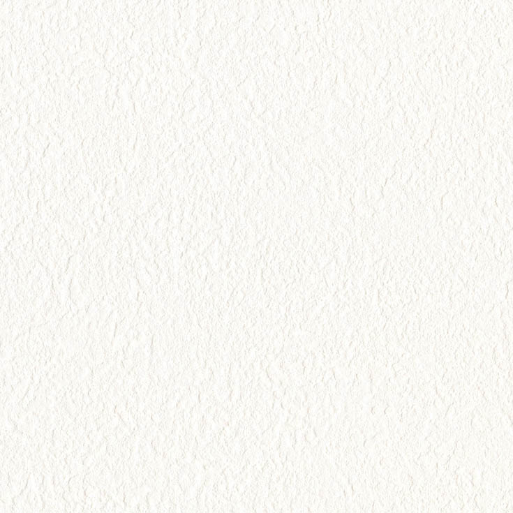 チップ画像