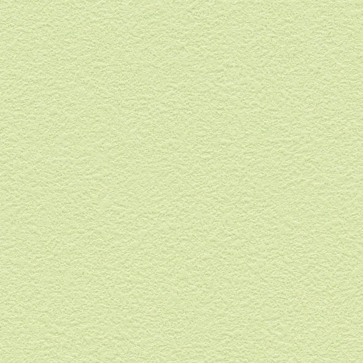 チップ画像
