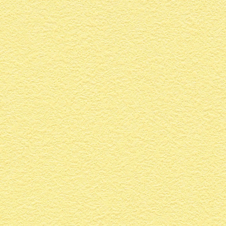 チップ画像