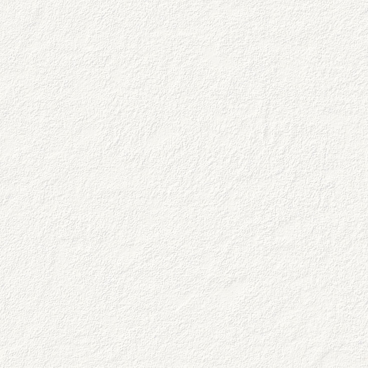 チップ画像