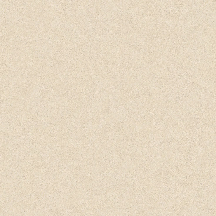 チップ画像