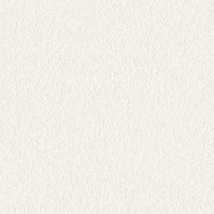チップ画像