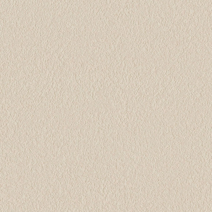 チップ画像