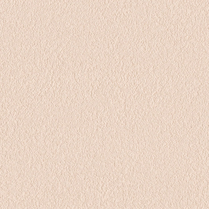チップ画像