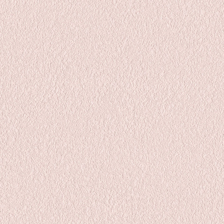 チップ画像