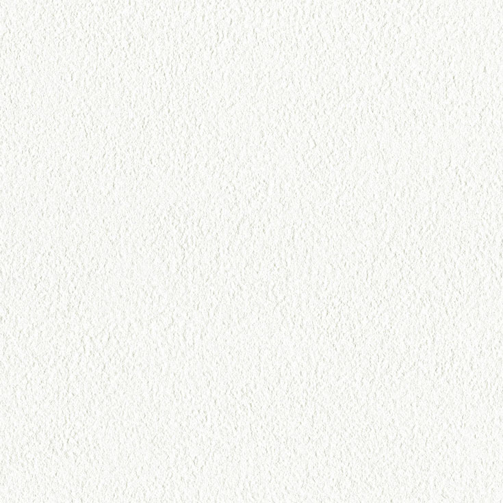 チップ画像